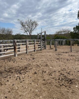FAZENDA TROPICAL- CRIA E RECRIA – CALCILÂNDIA-GO