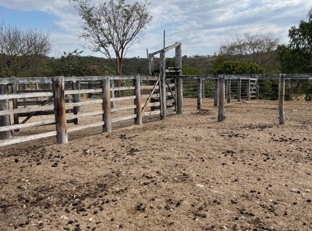 FAZENDA TROPICAL- CRIA E RECRIA – CALCILÂNDIA-GO